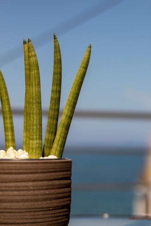 Tabak Home Sea Side Apartment La Canea Esterno foto